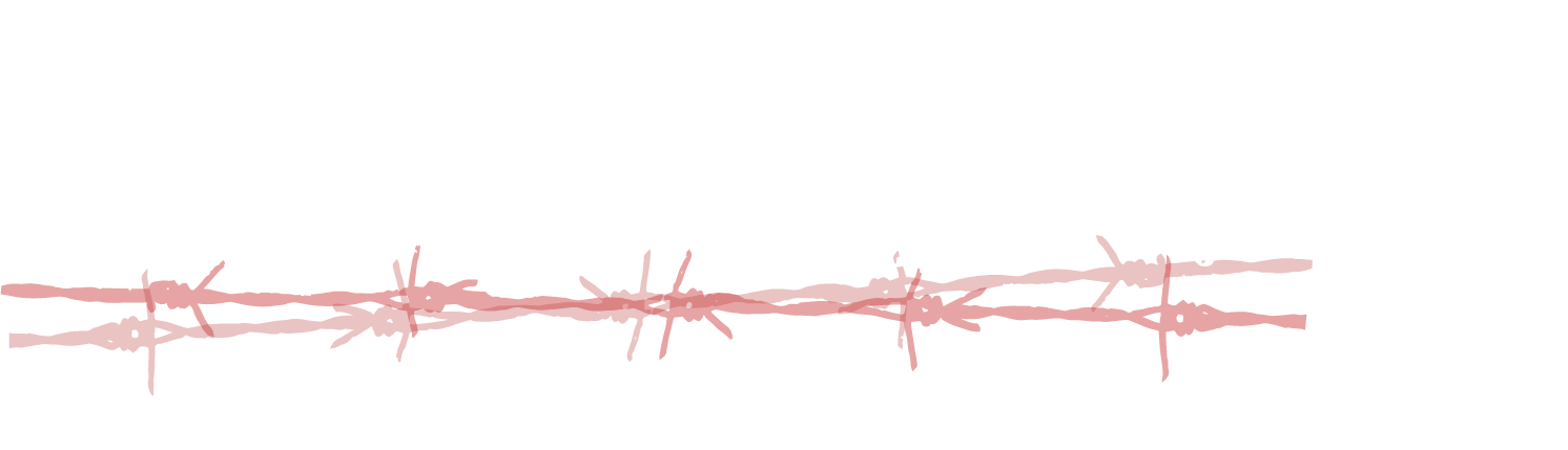 カテゴリー別ランキング
