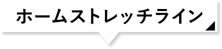 ホームストレッチライン