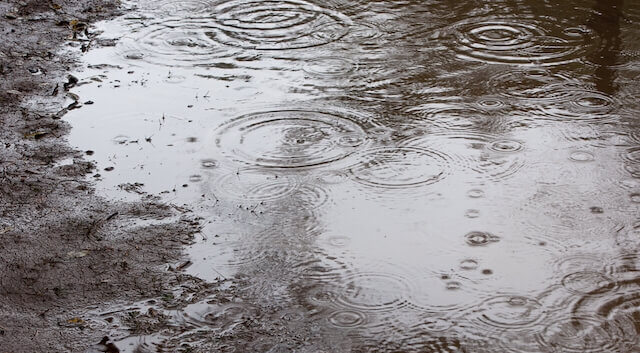 函館競輪　予想　雨　画像