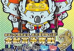 金鯱賞争奪戦　アイキャッチ