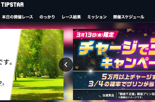 TIPSTAR　サイト画面